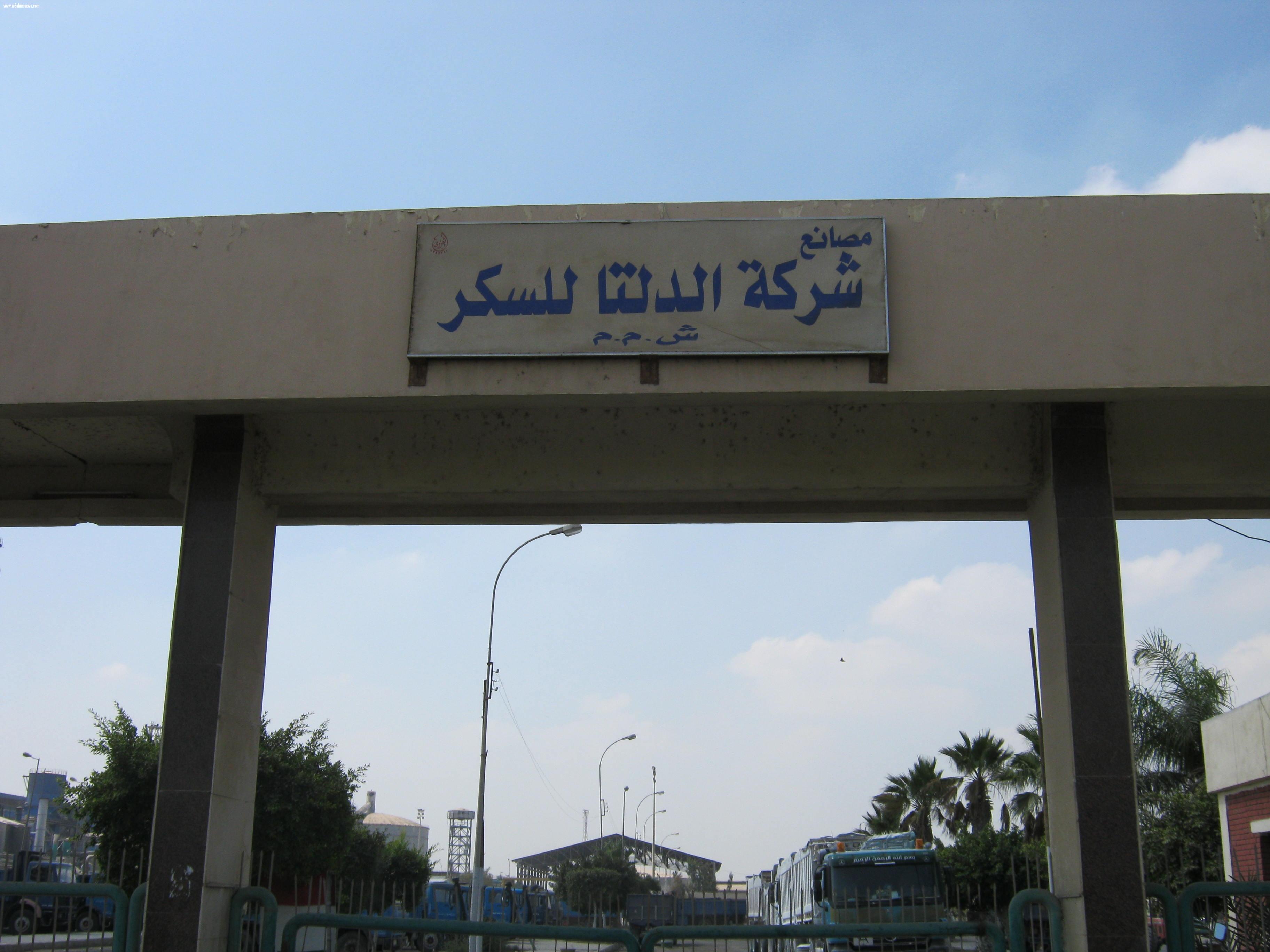 مصانع بنجر السكر تذيق المر للمزارعين وتبدد أحلامهم